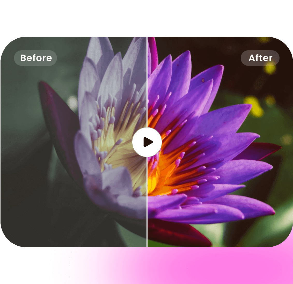 A comparsion picture of a flower video before and after its enhancement